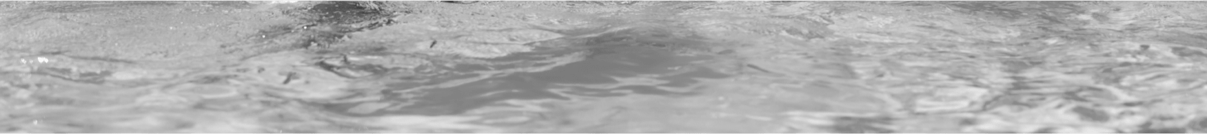 Suscríbete a nuestro newsletter